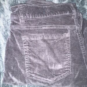 Basics Edition Corduroy Pants